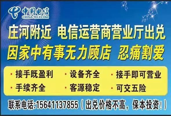 莊河最新招聘網(wǎng)，人才與機遇的橋梁