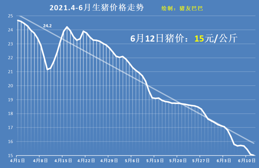 全國生豬價(jià)格最新行情分析今日發(fā)布