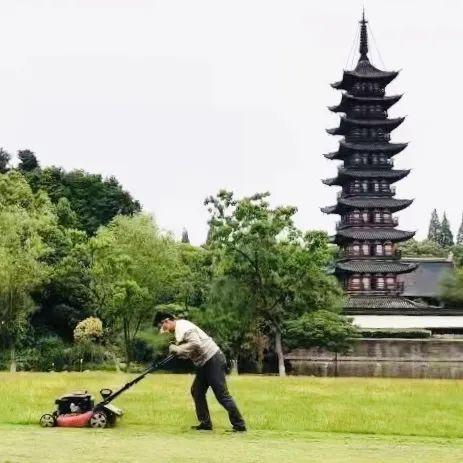 中山年票最新動態(tài)，政策調(diào)整及未來展望