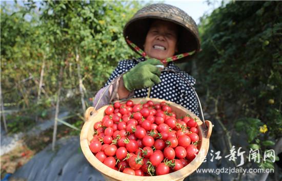 企水鎮(zhèn)最新新聞動(dòng)態(tài)報(bào)道速遞