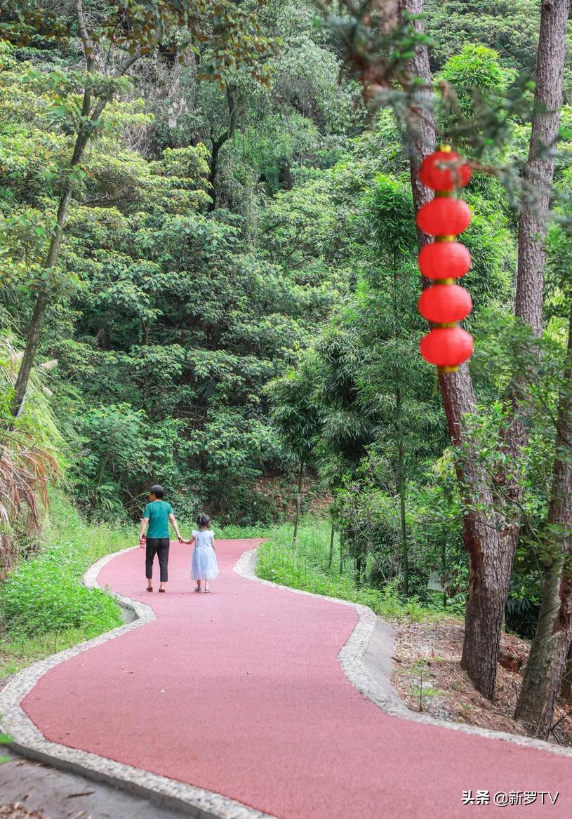 北城村委會(huì)未來繁榮藍(lán)圖，最新發(fā)展規(guī)劃揭秘